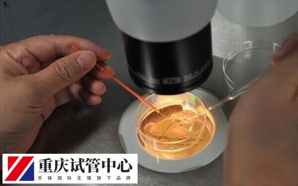 试管前如何调理身体