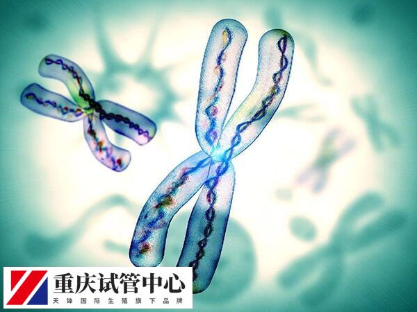 试管移植一个变两个是否跟遗传有关