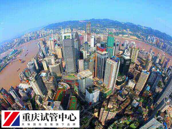 重庆试管婴儿最好的医院排名前五都有谁？
